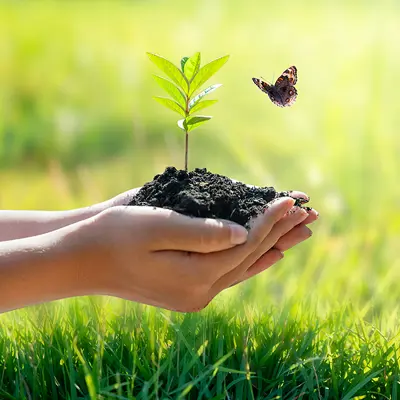 Environment friendly technology solutions. Environment friendly technology solutions.