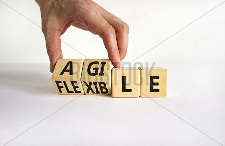 Agile & Flexible Development